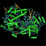 Sample thumbnail molecular graphic for 1PTH, prostaglandin H2 synthase-1 from sheep.