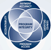 Program Integrity, Payment Accuracy, Service Delivery, Program Access, Accountability