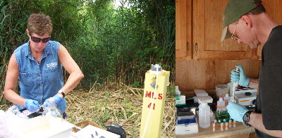 USGS scientists conducting chemical analyses on site and in an on-site mobile laboratory in order to identify important degradation products from the natural attenuation of landfill leachate in the aquifer.