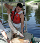 Sturgeon