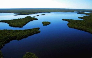 Mangrove islands, Lostman's River FL