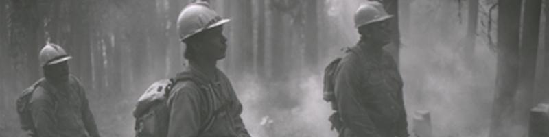 July 28th, 2000. Firefighters stand in a forest holding chainsaws in an attempt to control a wildfire.