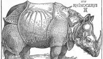 Albrecht Dürer woodcut, “Rhinoceros” 