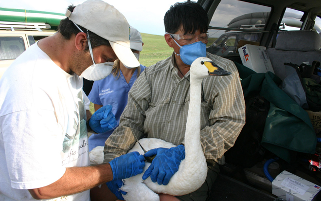 Preventing Pandemic