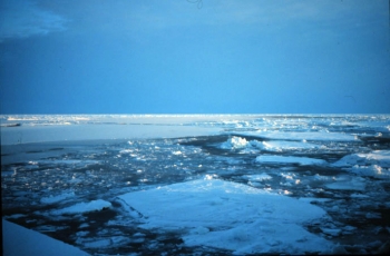 NOAA Issues Annual Report Card Outlining Changing Conditions in the Arctic