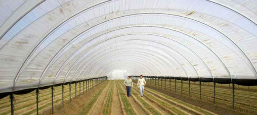 Photo: USDA's Natural Resources Conservation Service supported the construction of over 4,200 high tunnels on farms throughout the country in 2010 and 2011.