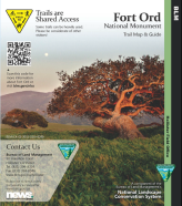 Oak trees on the Fort Ord National Monument