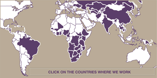 Countries where we work