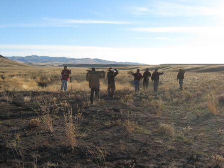 Members of the Shoshone-Paiute Tribe plant willows along riparian areas in the Jarbidge Field Office, November 2008