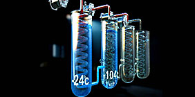 Image of low-temperature experiment