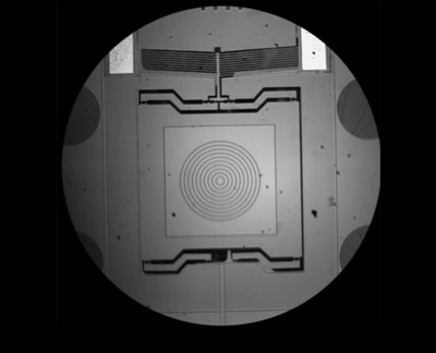 MEMS rheometer