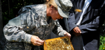 cpt mayes inspects the conditions of bee hives