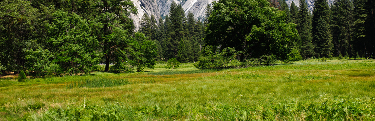 A view of Yosemite National Park.  Courtesy of Jeff  Bank (DOJ/ENRD/EO)