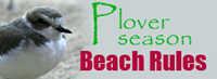 Plover Season and Beach Rules