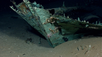 While most of the ship's wood has long since disintegrated, copper that sheathed the hull beneath the waterline as a protection against marine-boring organisms remains, leaving a copper shell retaining the form of the ship. 