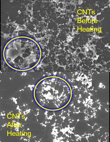 Nanotube SEM