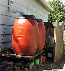 Photograph of a brown rain barrel under a rainspout attached to a house.