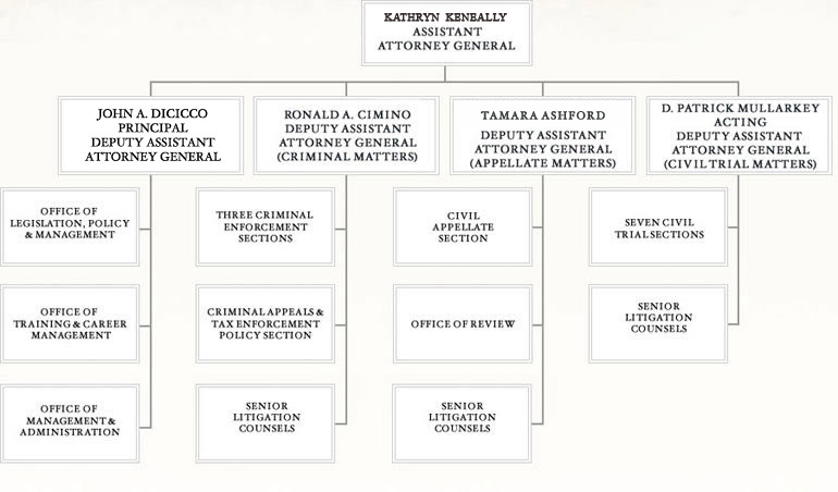 Organization Chart for Tax Division
