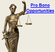 Pro Bono Opportunities