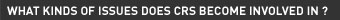 What kinds of issues does CRS become involved in ? 