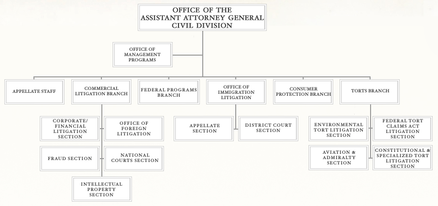 Organization Chart for the Civil Division