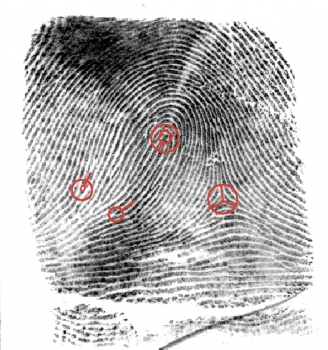 image of thumb print