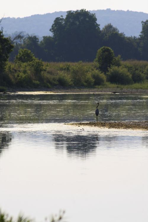 McDonald County- Elk River