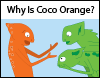 Why is Coco Orange?