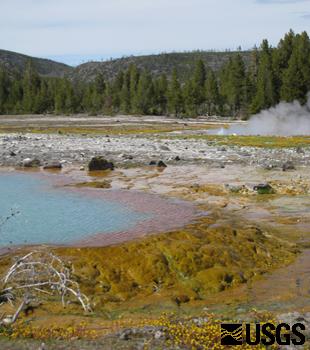 Biscuit Basin, Yellowstone 