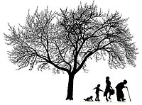 Illustration with a tree next to four individuals from different age groups. Courtesy of National Institute on Aging, NIH