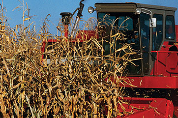 Photo of tractor harvesting biomass feedstock