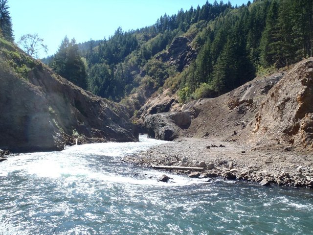 The removal of Condit Dam opened up salmon and steelhead habitat that had been blocked for nearly 100 years.