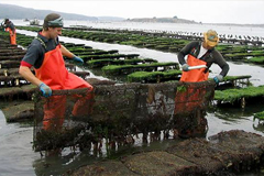 IOOS data is helping the west coast shellfish industry mitigate the effects of ocean acidification