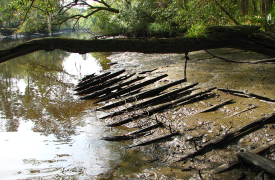 Ashley River Heritage Canoe Trail