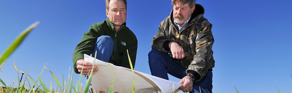 Environmental responsibility workers at Sandia