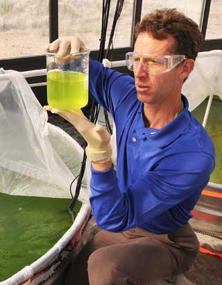 Photo of researcher Brian Dwyer viewing a sample from an algal tank