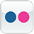 Flickr Icon