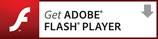 Adobe Flash Icon