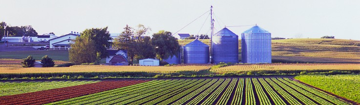 West MI Farm