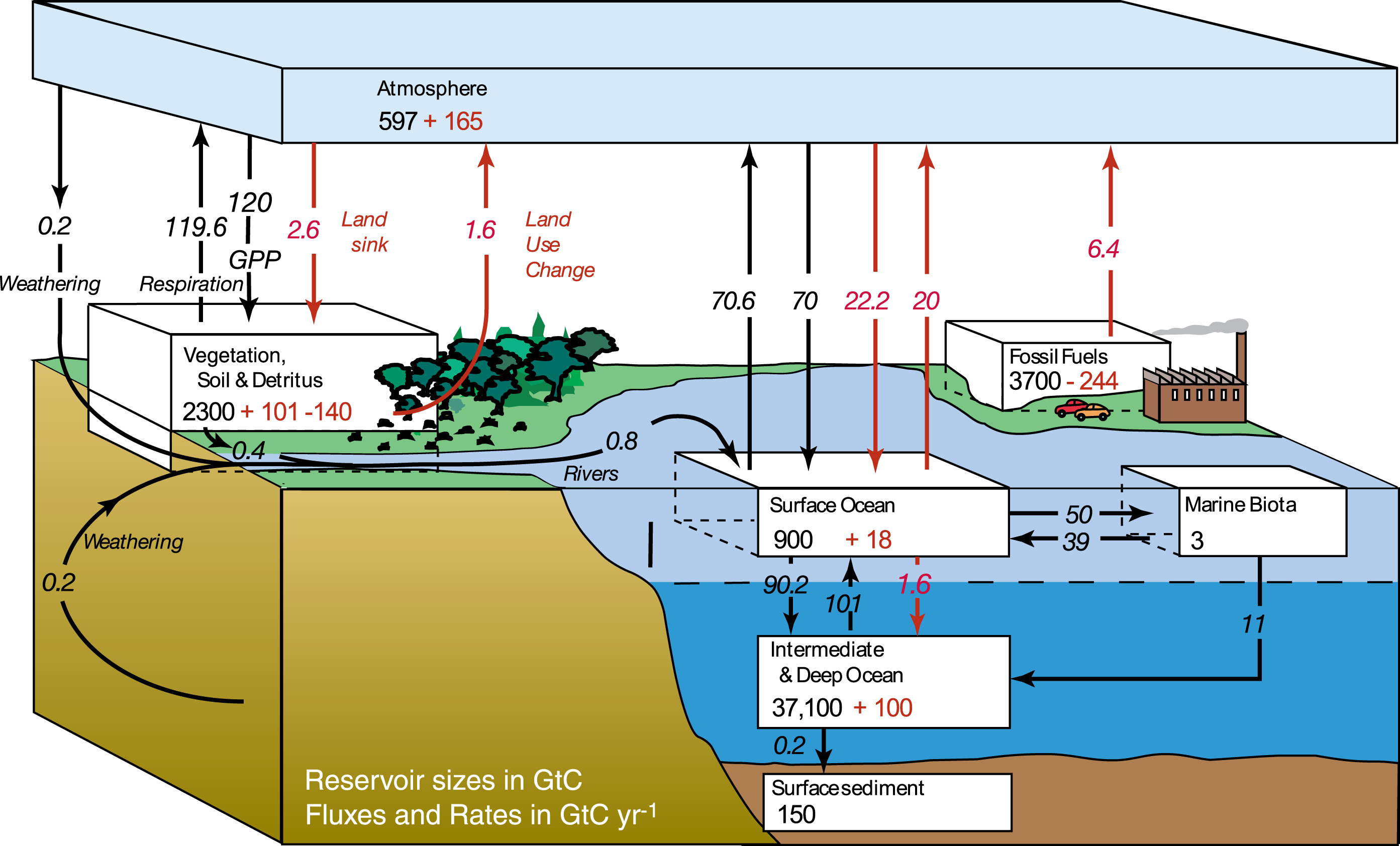 Anthropogenic carbon cycle