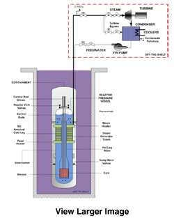 NuScale