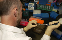 A cancer researcher prepares a DNA sample for sequencing.