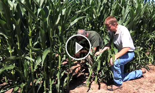 VIDEO: USDA is advising farmers on ways to make soils healthier for the long-term success of their operations.