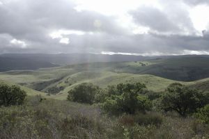 Fort Ord National Monument