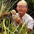 Plant Breeder in Field