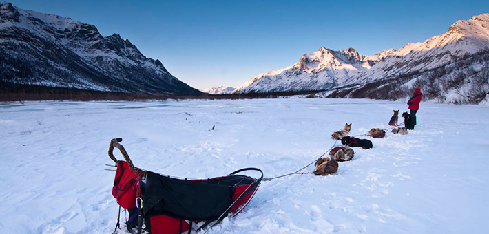 Photo of sled and dog team on snowy terrain