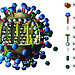 Illustation depicitng an influenza virus