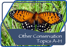 Other Conservation Topics