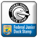 Federal Junior Duck Stamp FB