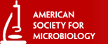 THe American Society for Microbiology